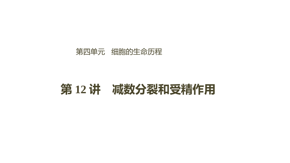 细胞的减数分裂_第1页