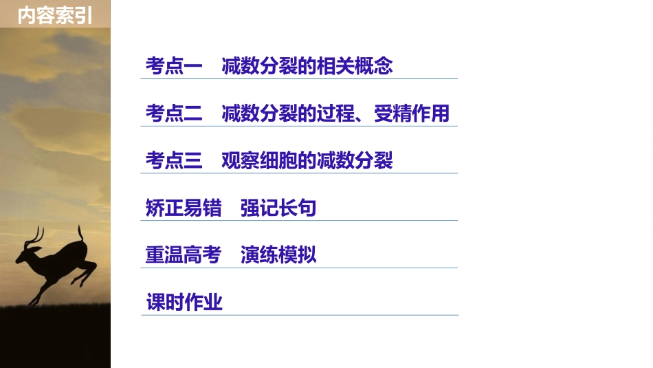 细胞的减数分裂_第3页