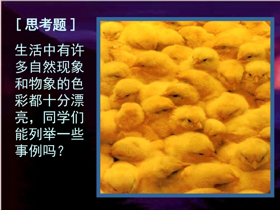 色彩与生活美术课件_第2页