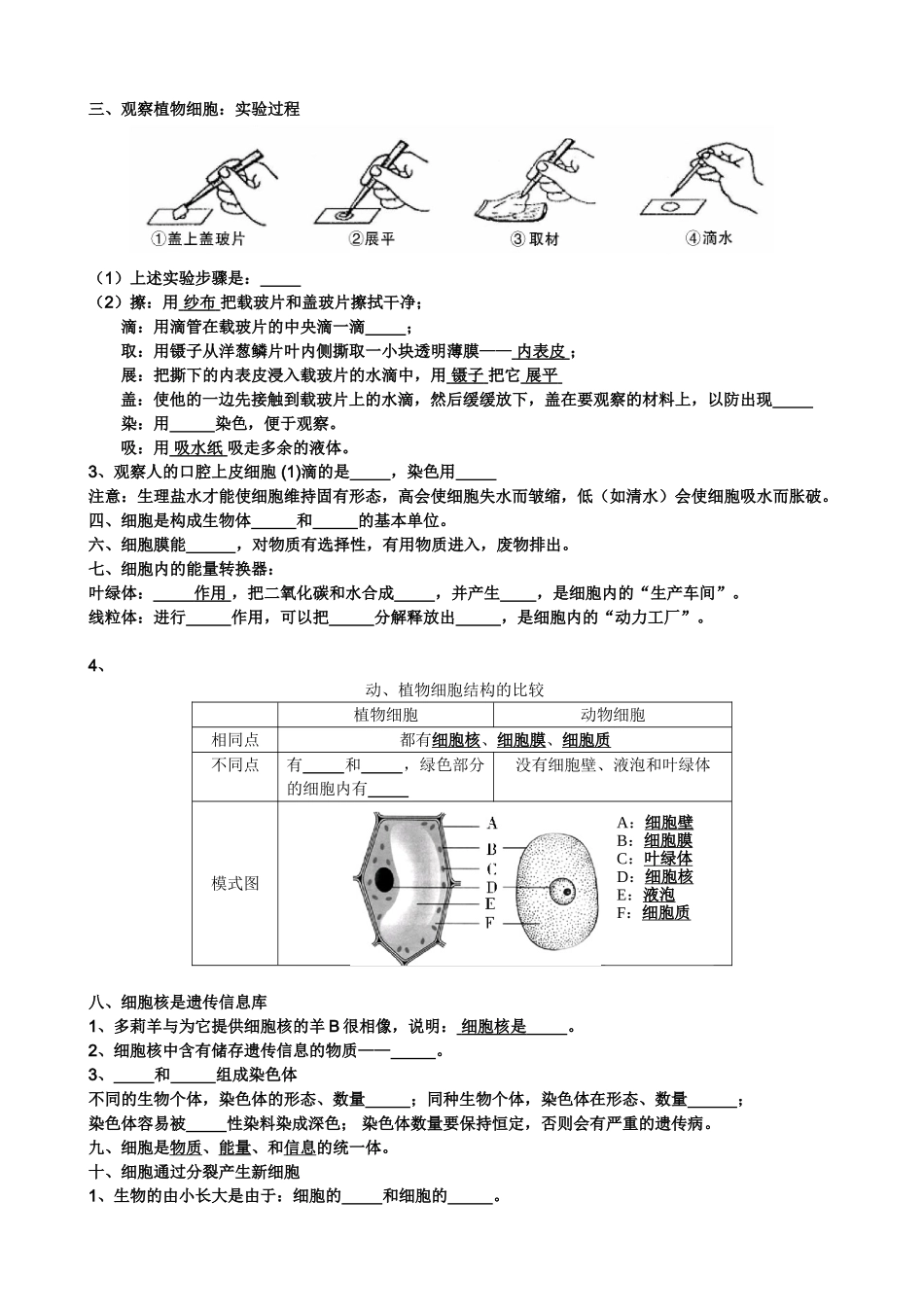 2013--2014七年级生物上册复习提纲(无答案)_第2页