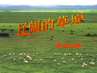 美丽的草原我的家