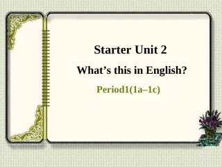 (最新版)Starter--Unit2----Period1精品课件