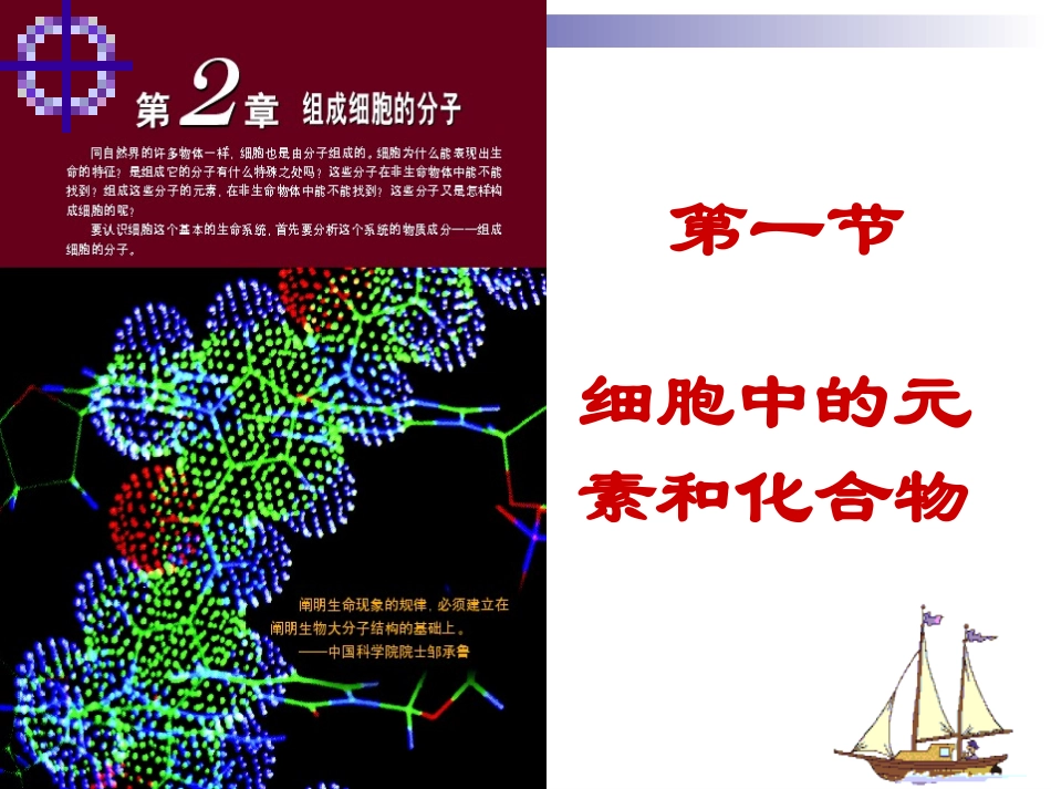 细胞中的元素和化合物(课件2)_第1页