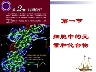 细胞中的元素和化合物(课件2)