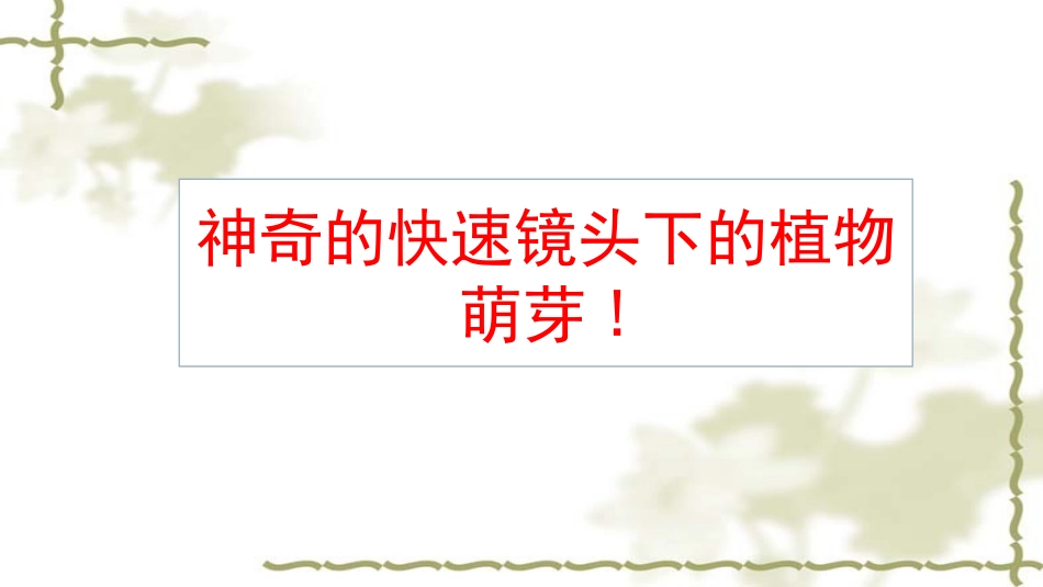 第三节细胞分裂与分化_第1页