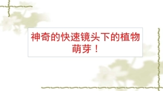 第三节细胞分裂与分化