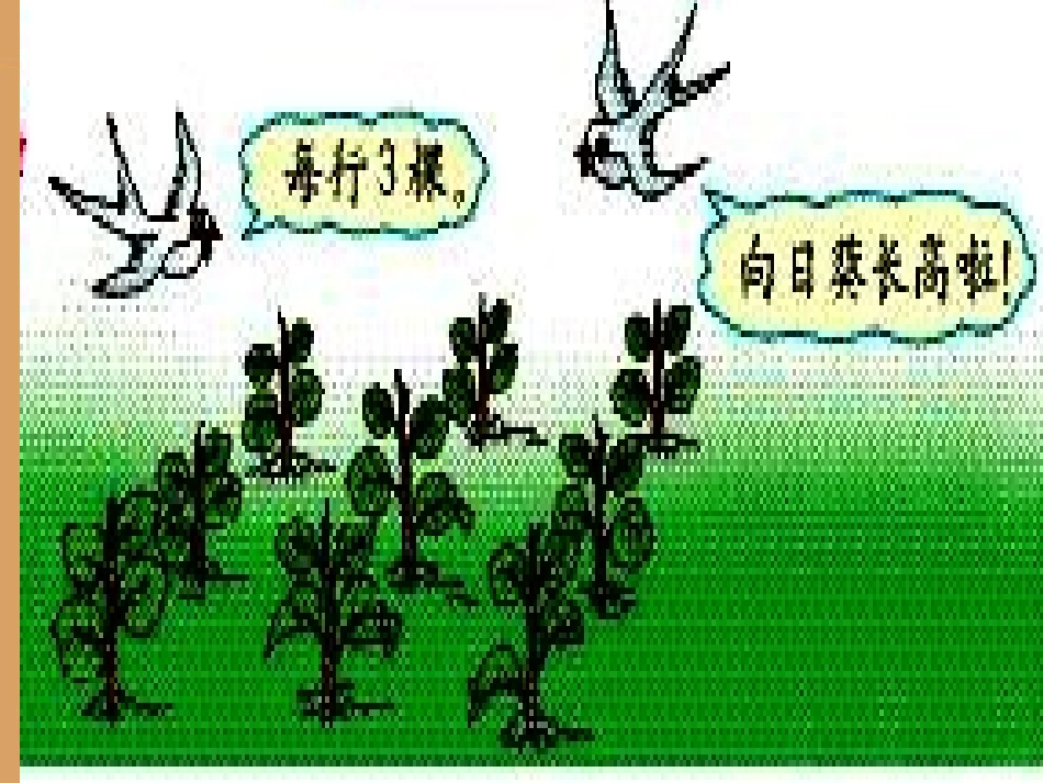 小学数学人教2011课标版二年级2、3、4的乘法口诀课件_第3页