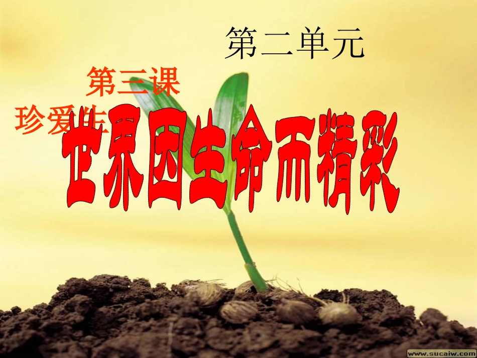 68世界因生命而精彩_第2页