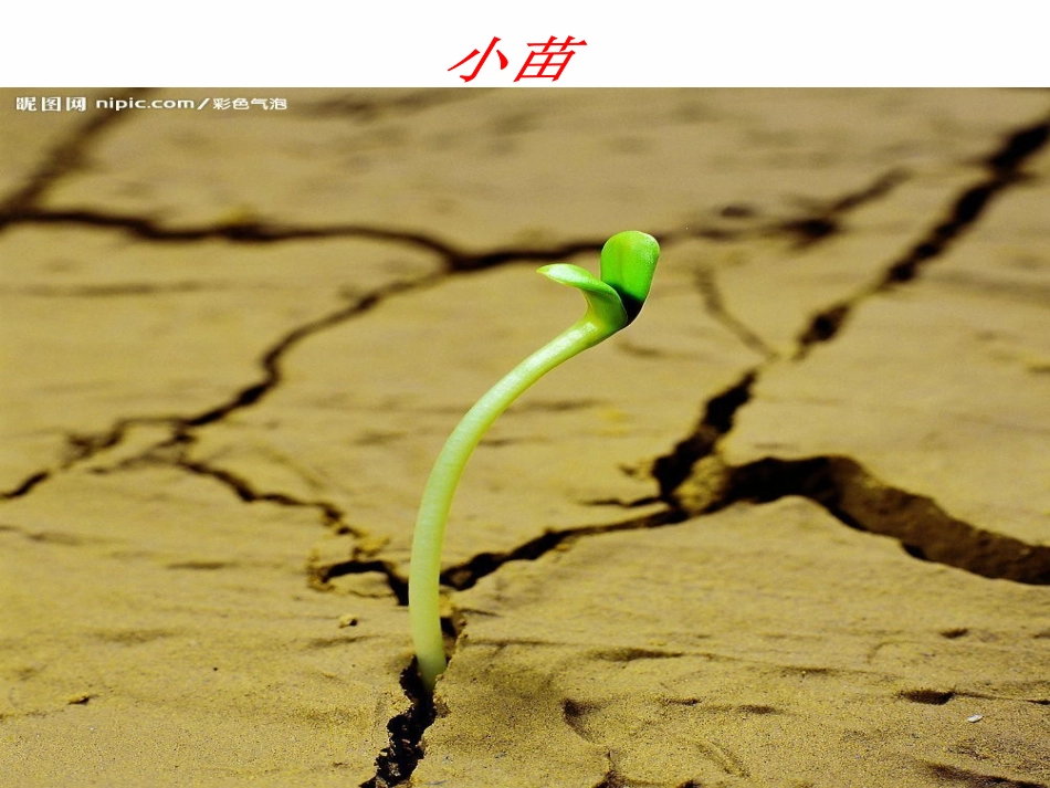 68世界因生命而精彩_第3页