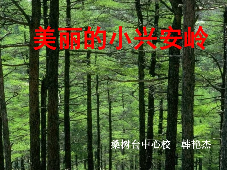 《美丽的小兴安岭》课件-(3)_第1页