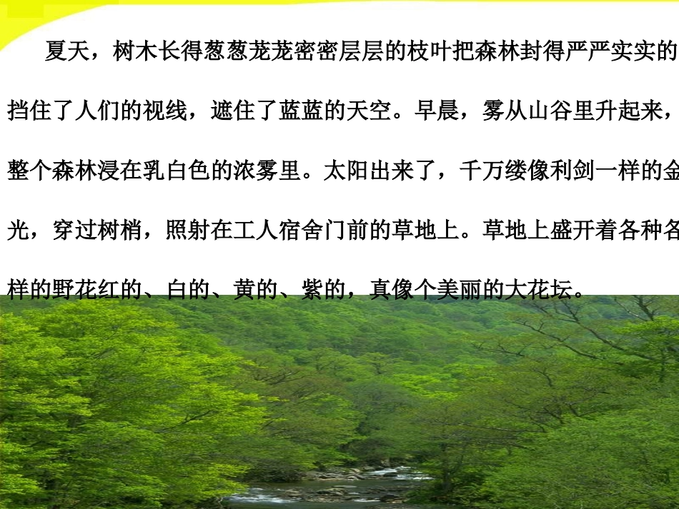 美丽的小兴安岭-(3)_第3页