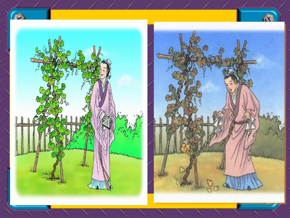 14我要的是葫芦课件_第2页