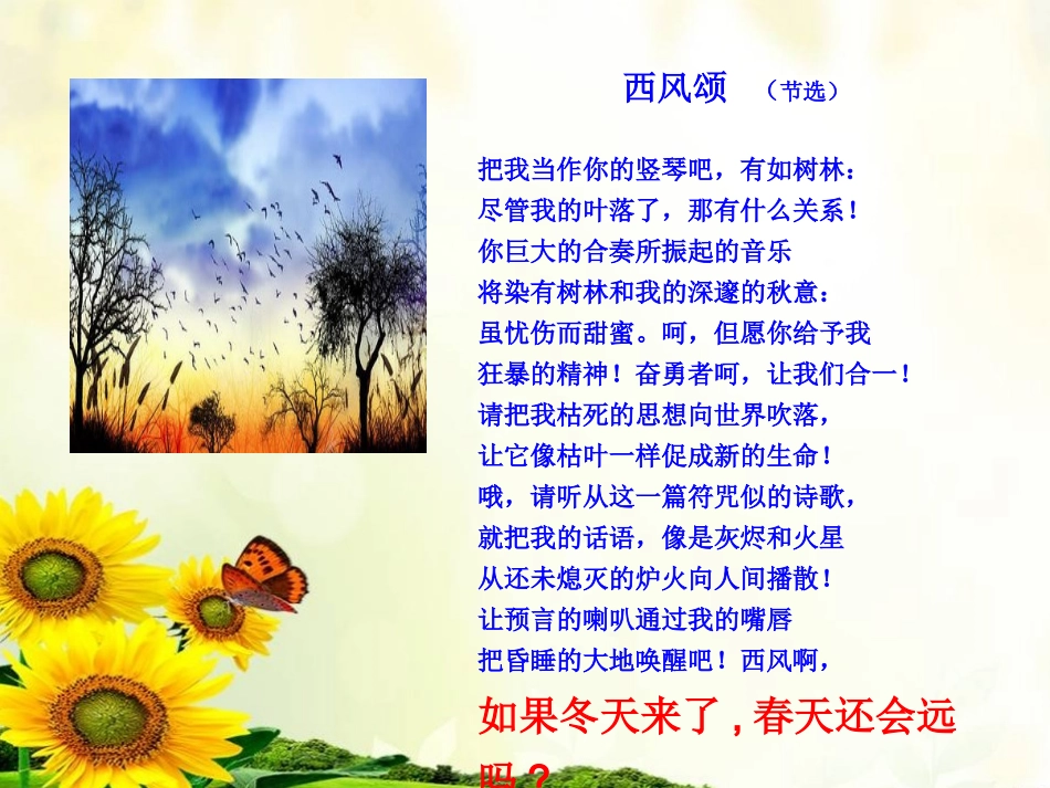 SectionD-(12)_第3页