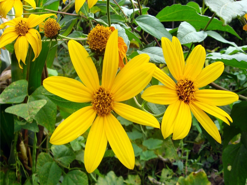 1.原色和间色_第3页