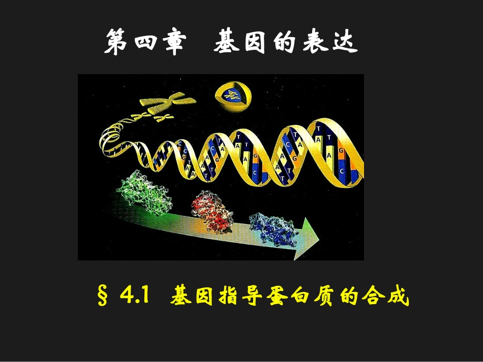 人教版必修2第四章第一节基因的表达--基因指导蛋白质的合成(共27张PPT)_第1页