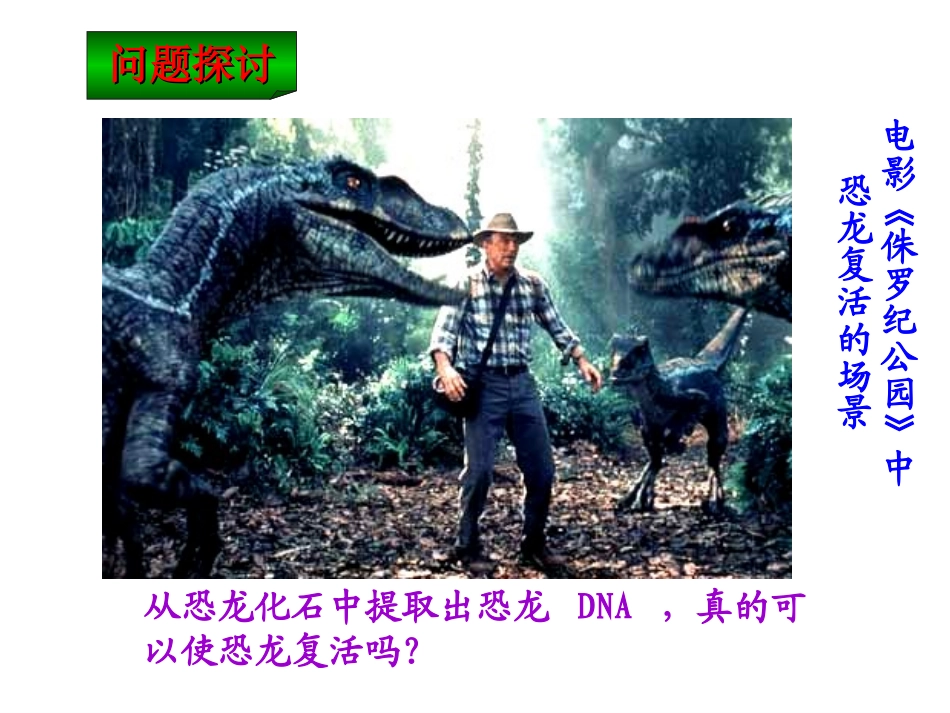 人教版必修2第四章第一节基因的表达--基因指导蛋白质的合成(共27张PPT)_第2页