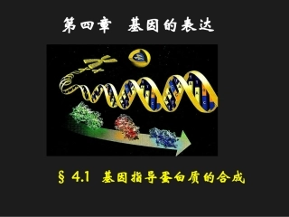 人教版必修2第四章第一节基因的表达--基因指导蛋白质的合成(共27张PPT)
