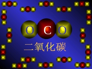 第三节大自然中的二氧化碳-(5)