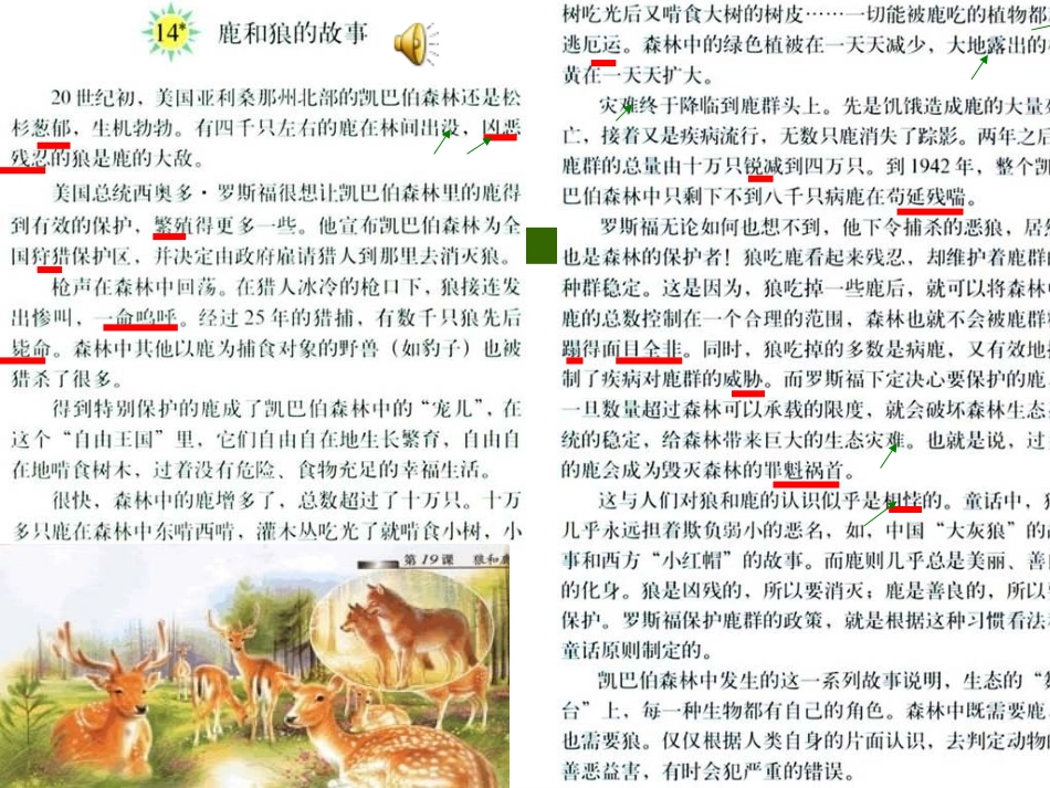 14-鹿和狼的故事71p课件_第2页