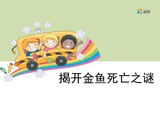 4揭开金鱼死亡之谜