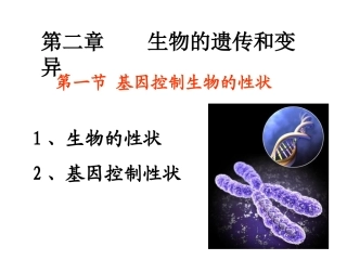 第一节基因控制生物的性状