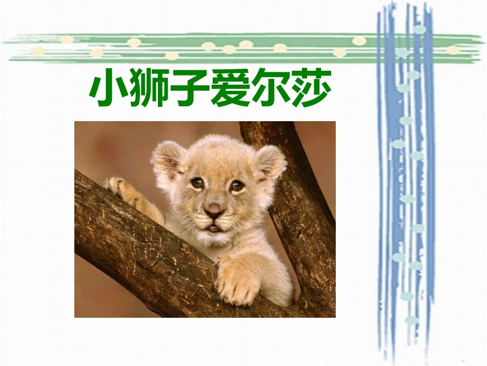 3-小狮子爱尔莎_第1页