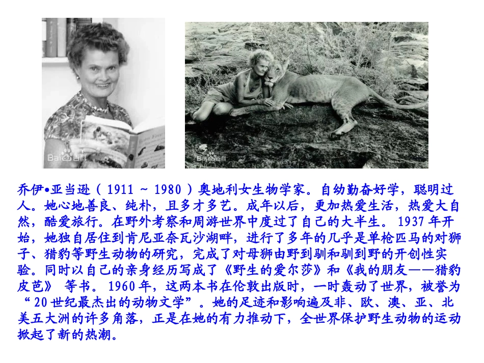 3-小狮子爱尔莎_第3页