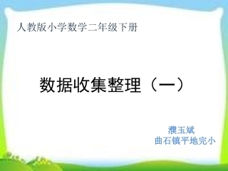 第1课时 数据收集整理
