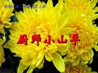 西师版小学二年级上册语文第17课《厨师小山羊PPT课件》