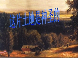 15、这片土地是神圣的PPT