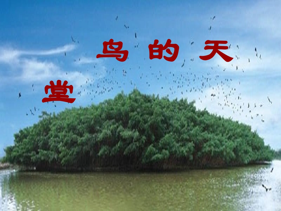 鸟的天堂(2)_第1页