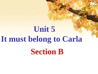 Unit5-自制4-section-B-1-4