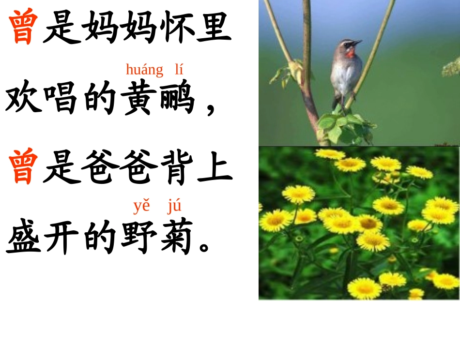 《乡下孩子》_第3页