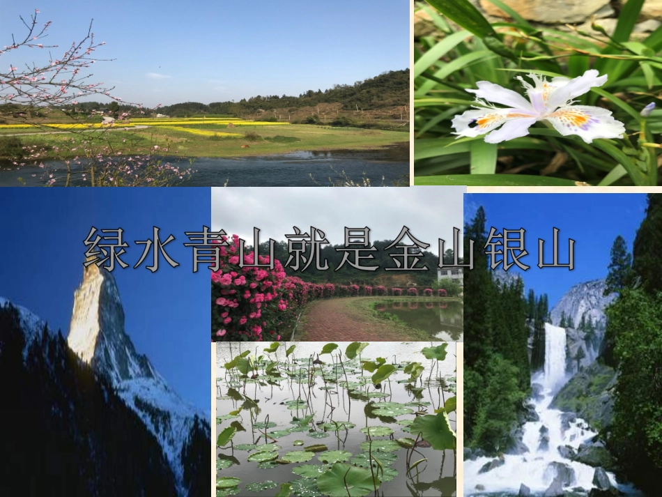 环境问题和我们的行动_第3页