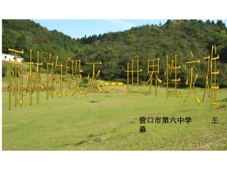 15.雨林的毁灭——世界性灾难