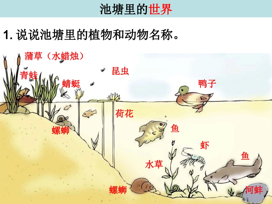 做一个生态瓶_第2页