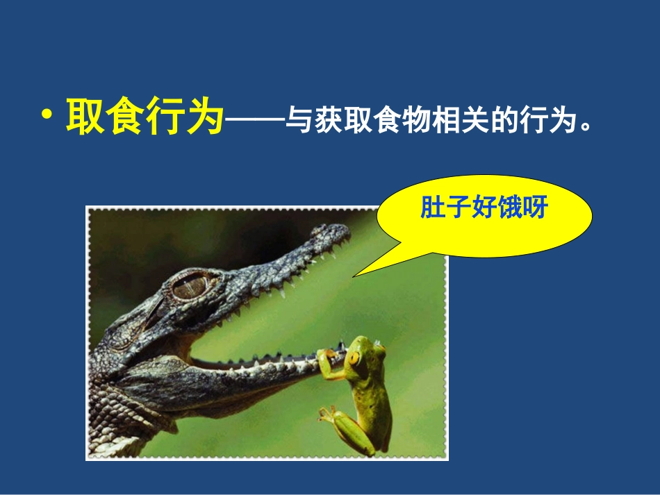 《第一节-动物行为的主要类型》课件1_第2页