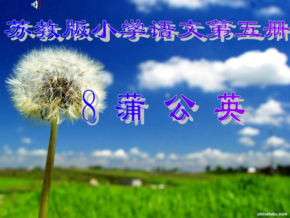 小学三年级上学期语文《蒲公英》课件_第1页