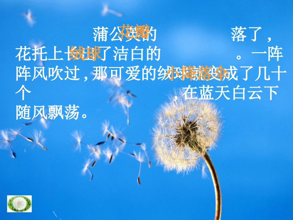 小学三年级上学期语文《蒲公英》课件_第3页