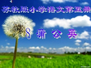 小学三年级上学期语文《蒲公英》课件