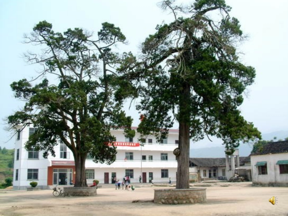 可能性课件ppt_第1页