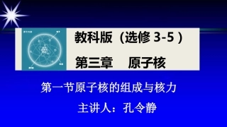 1.原子核的组成与核力 (2)