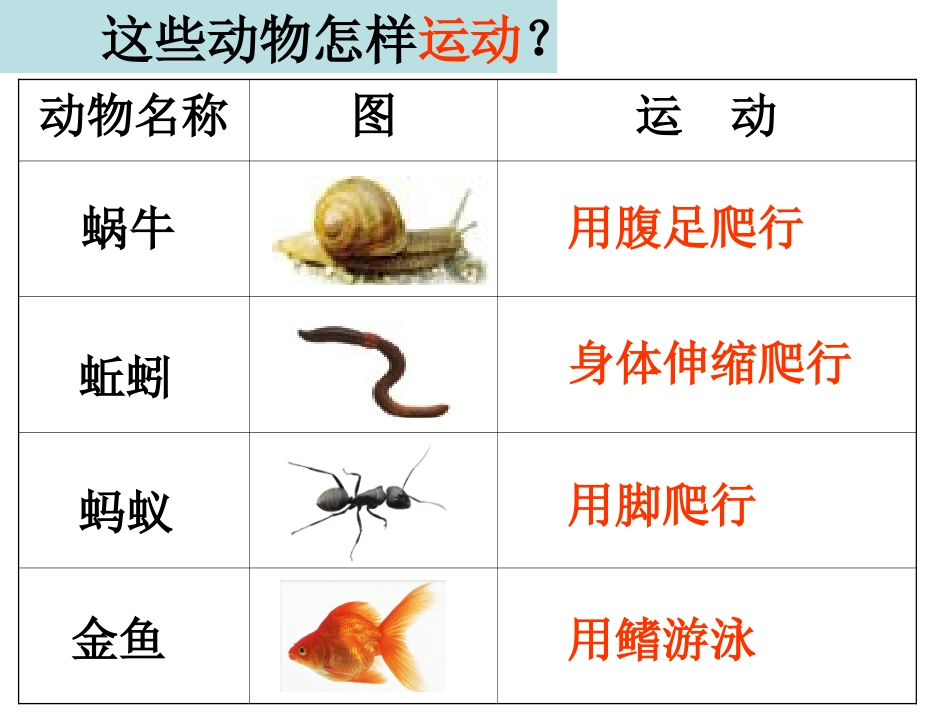 动物有哪些相同特点_第3页