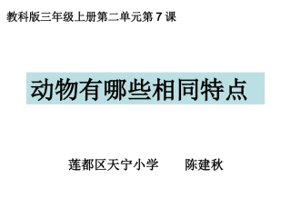 动物有哪些相同特点