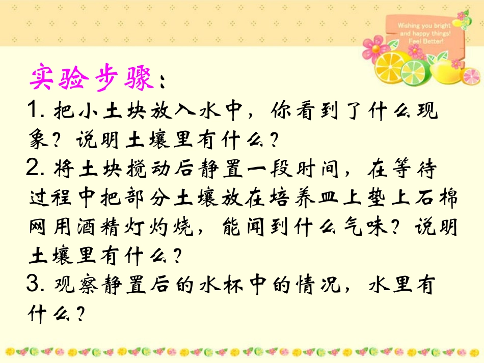 1-土壤里有什么_第3页