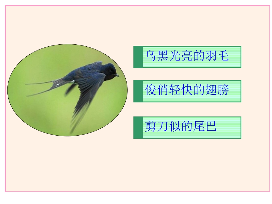 苏教版小学五年级语文上册习作6_第2页