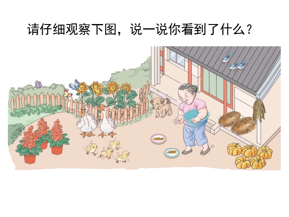 小学数学人教2011课标版一年级《1～5的认识》教学设计_第2页