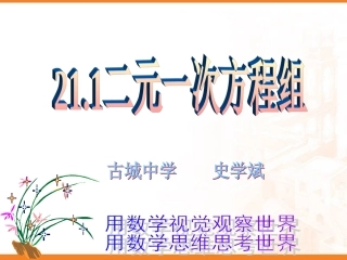 二元一次方程组