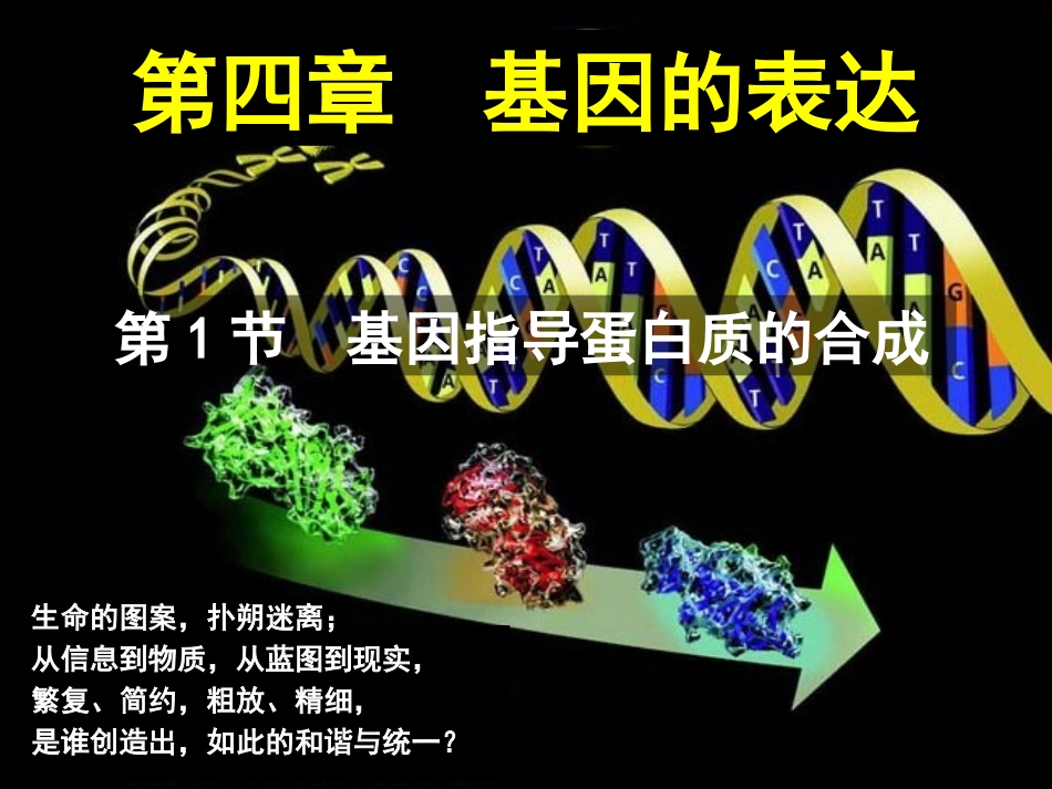 一基因控制蛋白质的合成_第1页