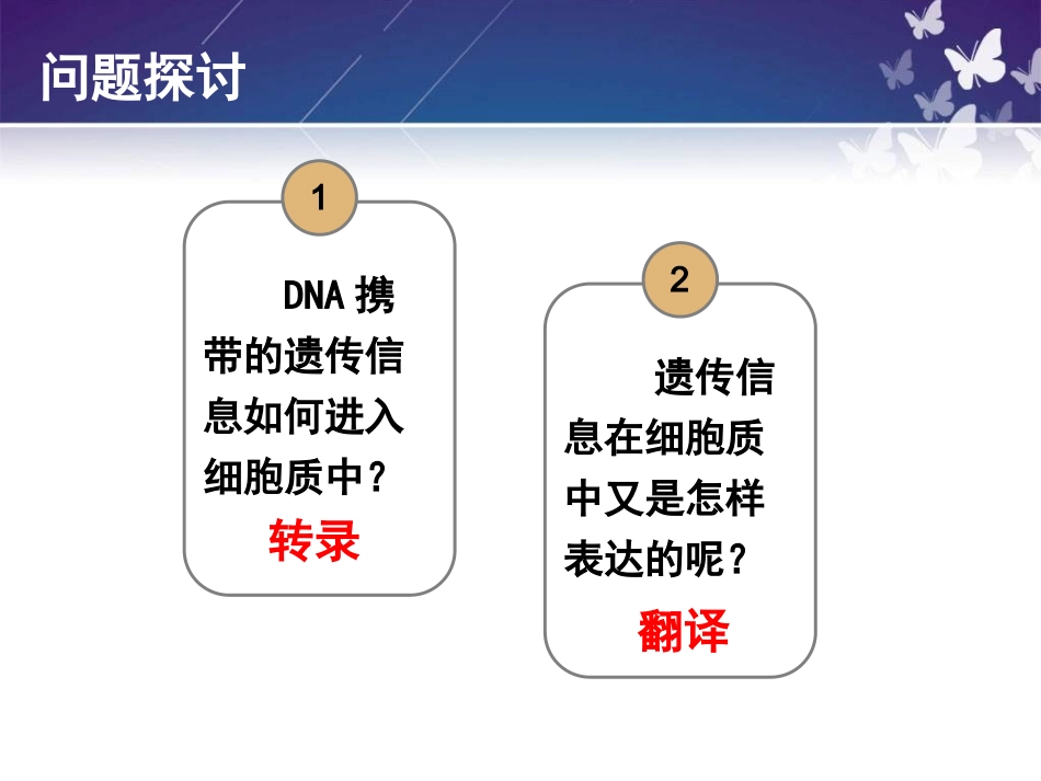 一基因控制蛋白质的合成_第3页